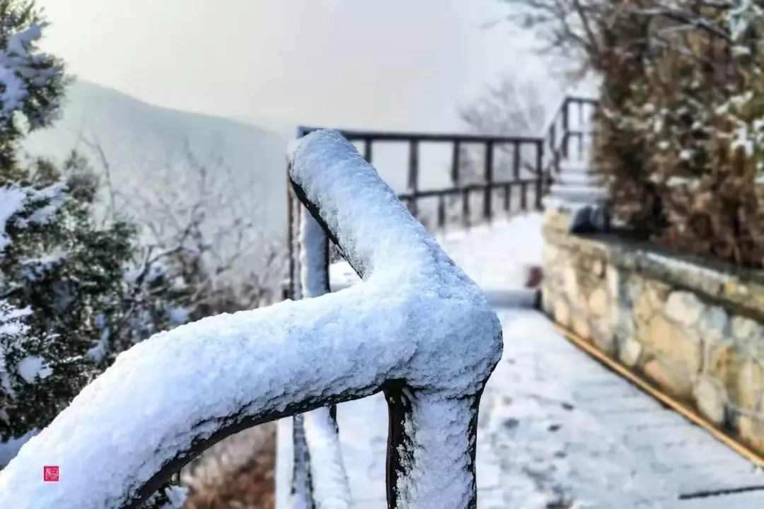 济南的雪（济南真的下雪啦！）-第3张图片