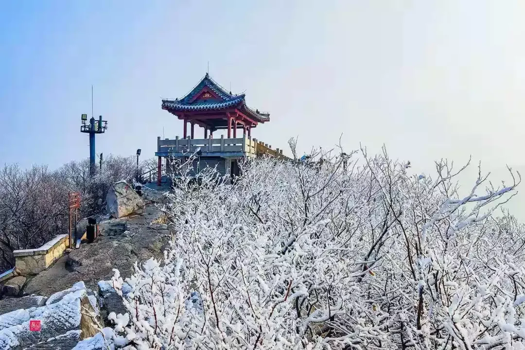 济南的雪（济南真的下雪啦！）-第4张图片