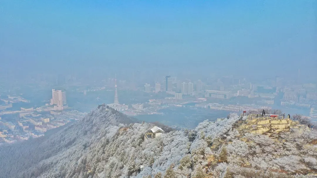 济南的雪（济南真的下雪啦！）-第1张图片