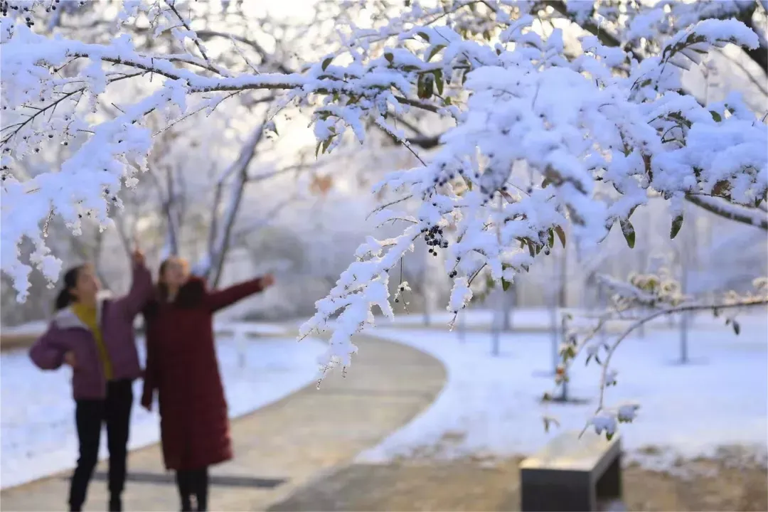 济南的雪（济南真的下雪啦！）-第39张图片