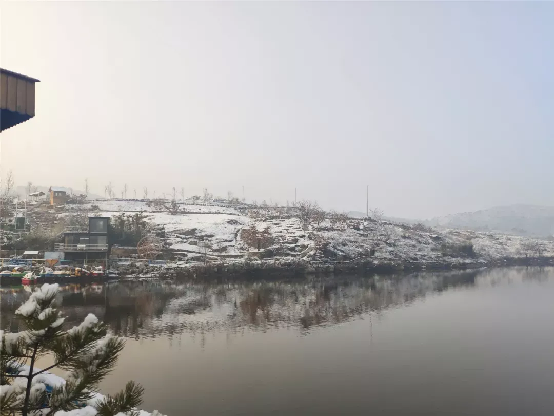 济南的雪（济南真的下雪啦！）-第48张图片