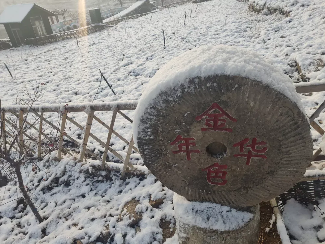 济南的雪（济南真的下雪啦！）-第49张图片