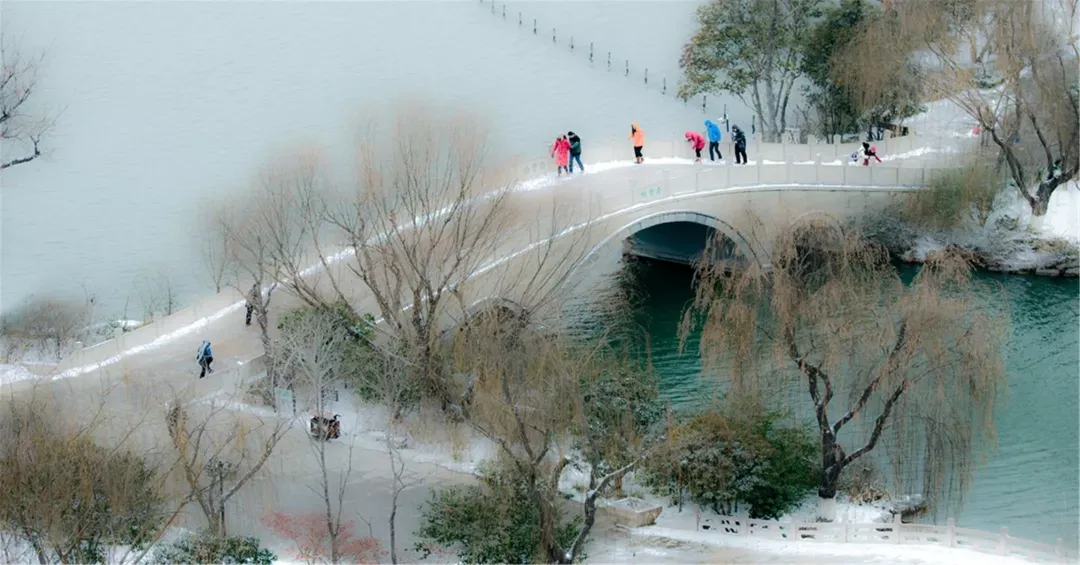 济南的雪（济南真的下雪啦！）-第62张图片