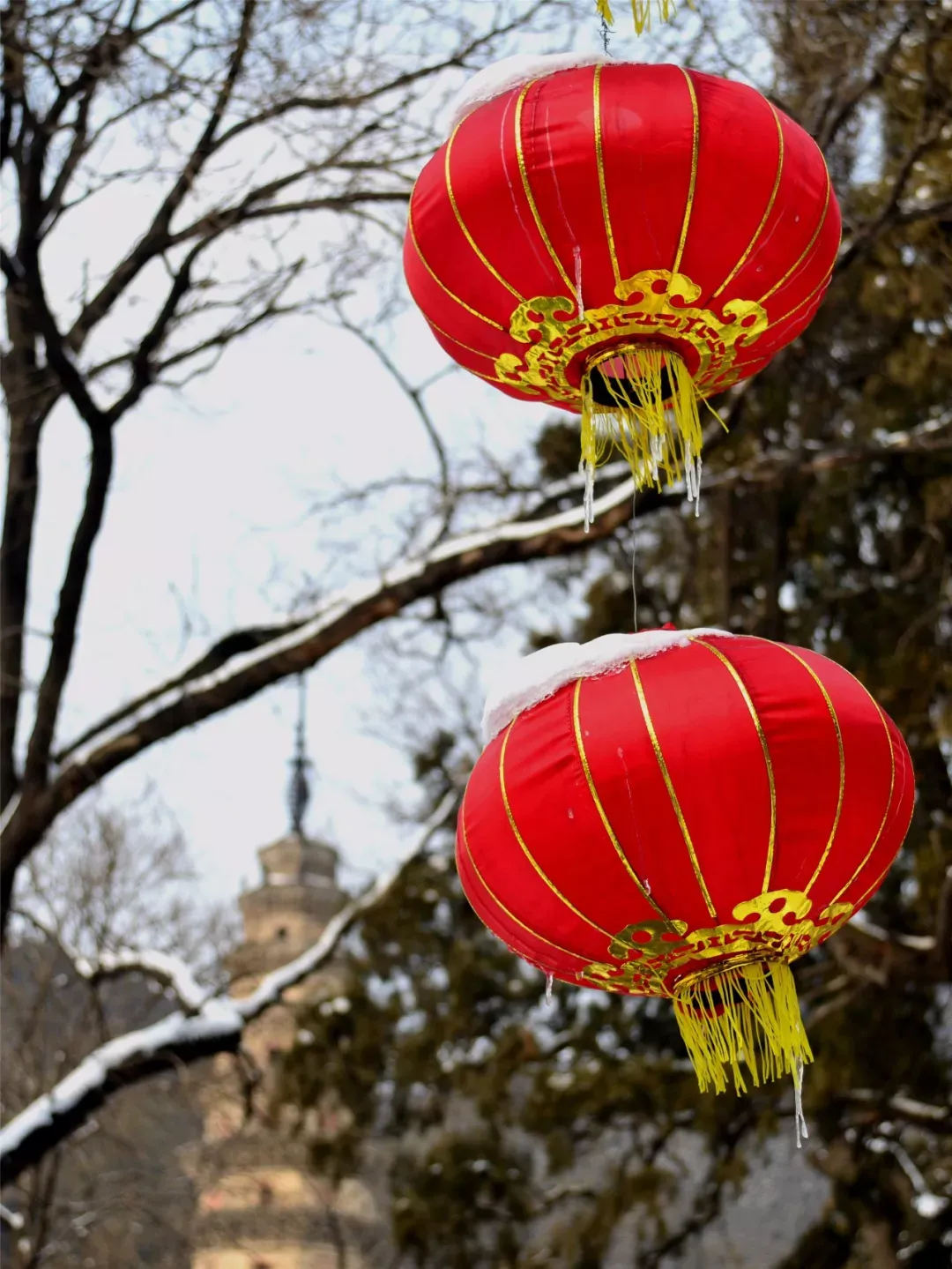 济南的雪（济南真的下雪啦！）-第77张图片