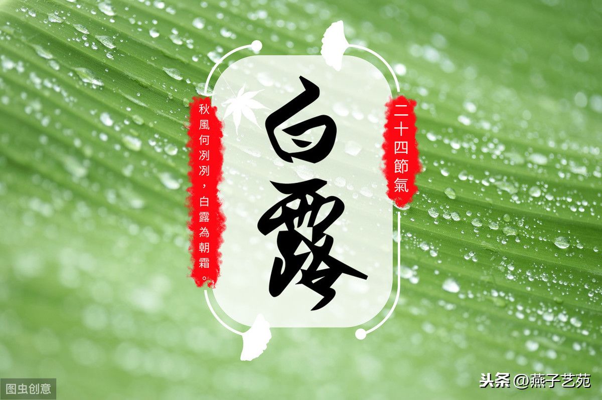 白露七言绝句（七绝《己亥白露节令寄怀》十二首）-第3张图片