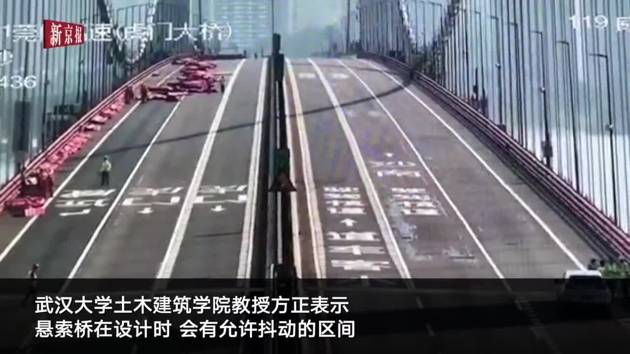 虎门大桥异常抖动如波浪（东莞虎门大桥发生波浪形抖动，专家解释抖动原因）-第1张图片