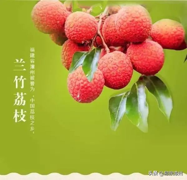 漳浦荔枝（漳浦还有这么多种荔枝，你吃过没？）-第2张图片