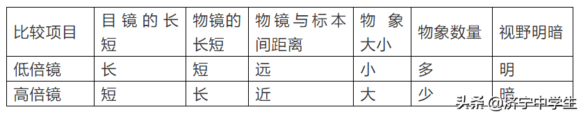 显微镜的使用步骤（显微镜使用方法）-第2张图片