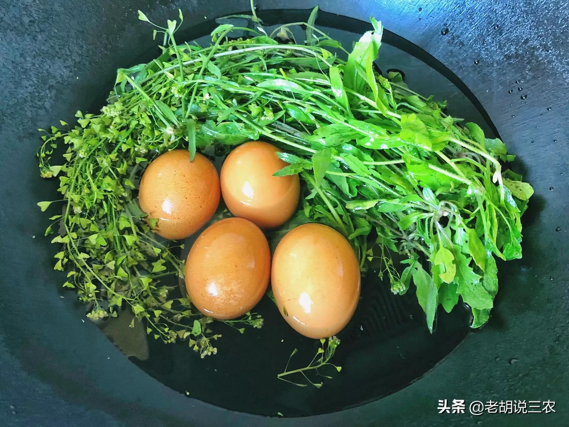 三月三煮鸡蛋是用什么草?(为啥要选三月三煮鸡蛋？)-第1张图片