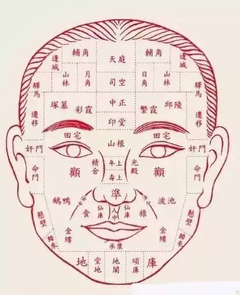 面部全息图（相貌，是生命的全息地图）-第1张图片