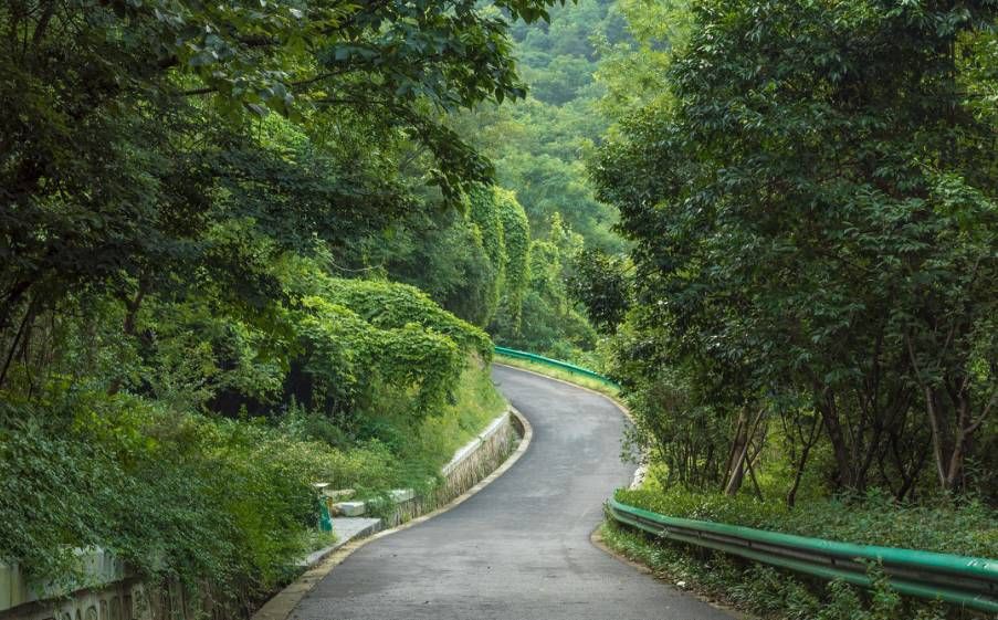 南京免费旅游景点（南京最值得去的12个免费景点）-第2张图片