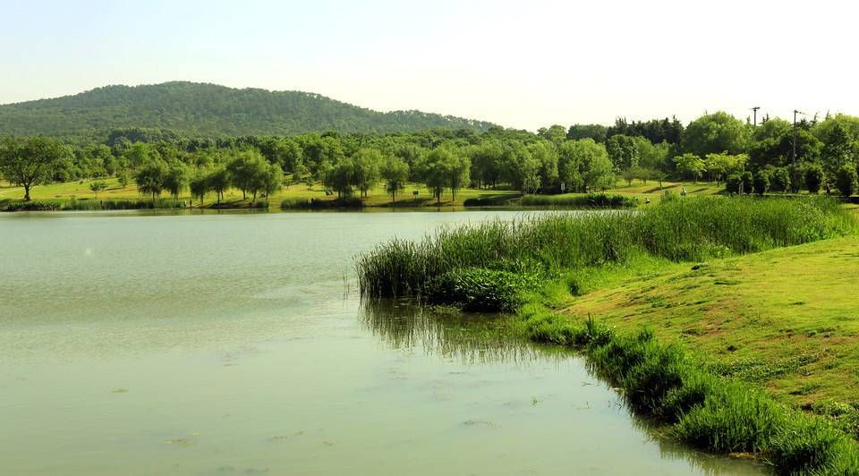 南京免费旅游景点（南京最值得去的12个免费景点）-第43张图片