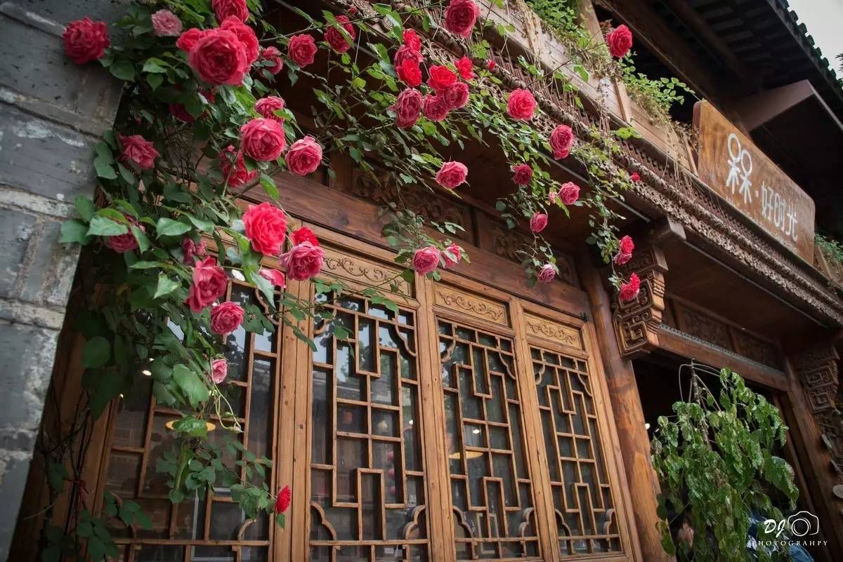 南京免费旅游景点（南京最值得去的12个免费景点）-第59张图片