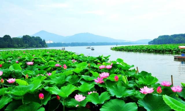 南京免费旅游景点（南京最值得去的12个免费景点）-第65张图片