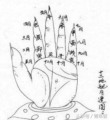 十二地支是什么？（十二地支及六十花甲子详解）-第1张图片