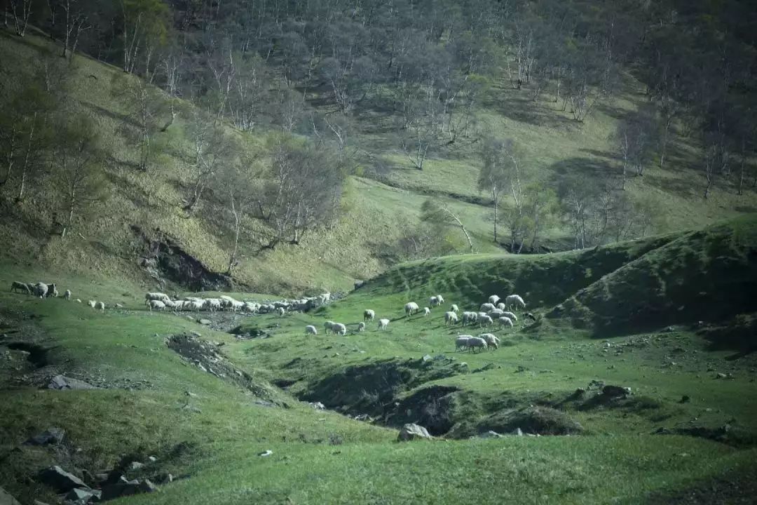 关于小满的人生哲理（一个充满哲理的节气）-第11张图片