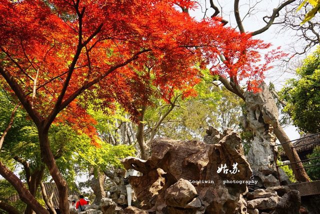 苏州好玩的景点（苏州10大必玩景点）-第8张图片