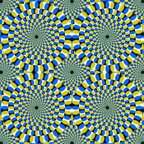怪异图片（世界上最奇怪的50张图片）-第5张图片