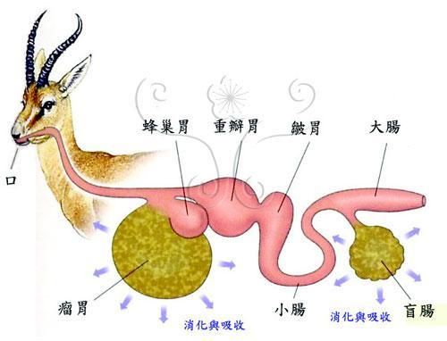 难过的时候怎么办（如何处理悲伤的情绪）-第2张图片