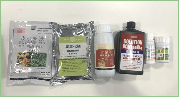 绿色蔬菜打一生肖（价格翻倍的有机蔬菜，真的不用农药吗）-第4张图片