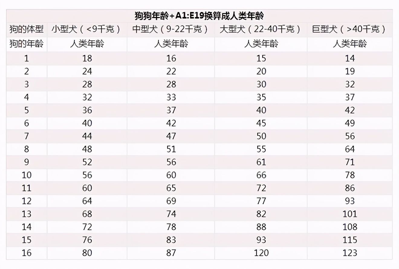 狗可以活多久（狗狗的寿命有多长？）-第2张图片