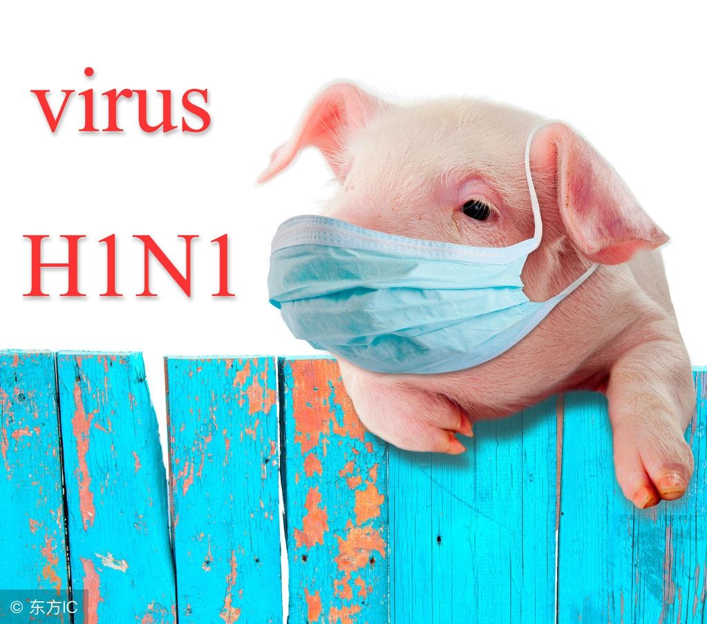甲型h1n1流感的症状(甲型H1N1流感有什么症状？)-第1张图片