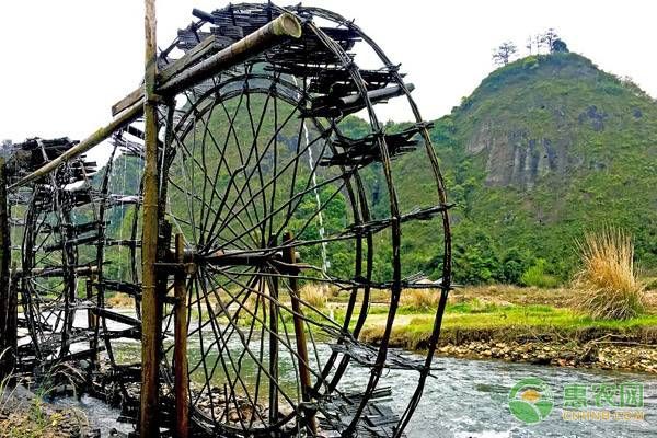 小满节气诗谚(小满气候、农事谚语大全)-第2张图片 小满节气诗谚(小满气候、农事谚语大全)-第2张图片