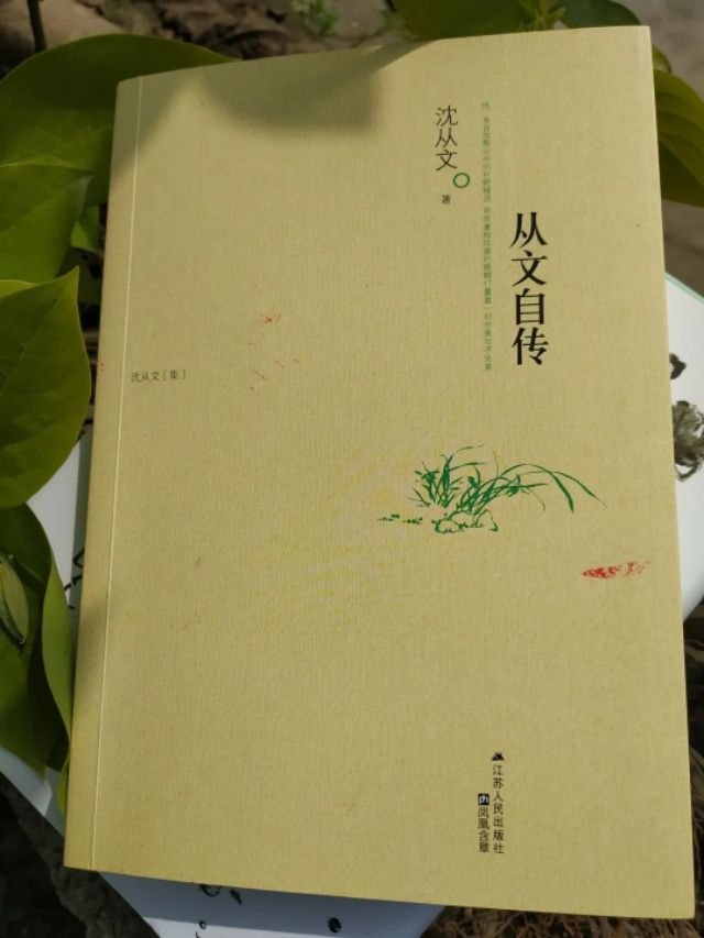五本好看的经典文学作品(5本经典文学书籍)-第2张图片 五本好看的经典文学作品(5本经典文学书籍)-第2张图片