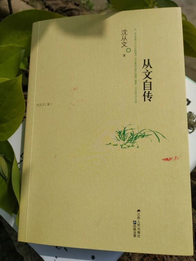 五本好看的经典文学作品（5本经典文学书籍）-第2张图片