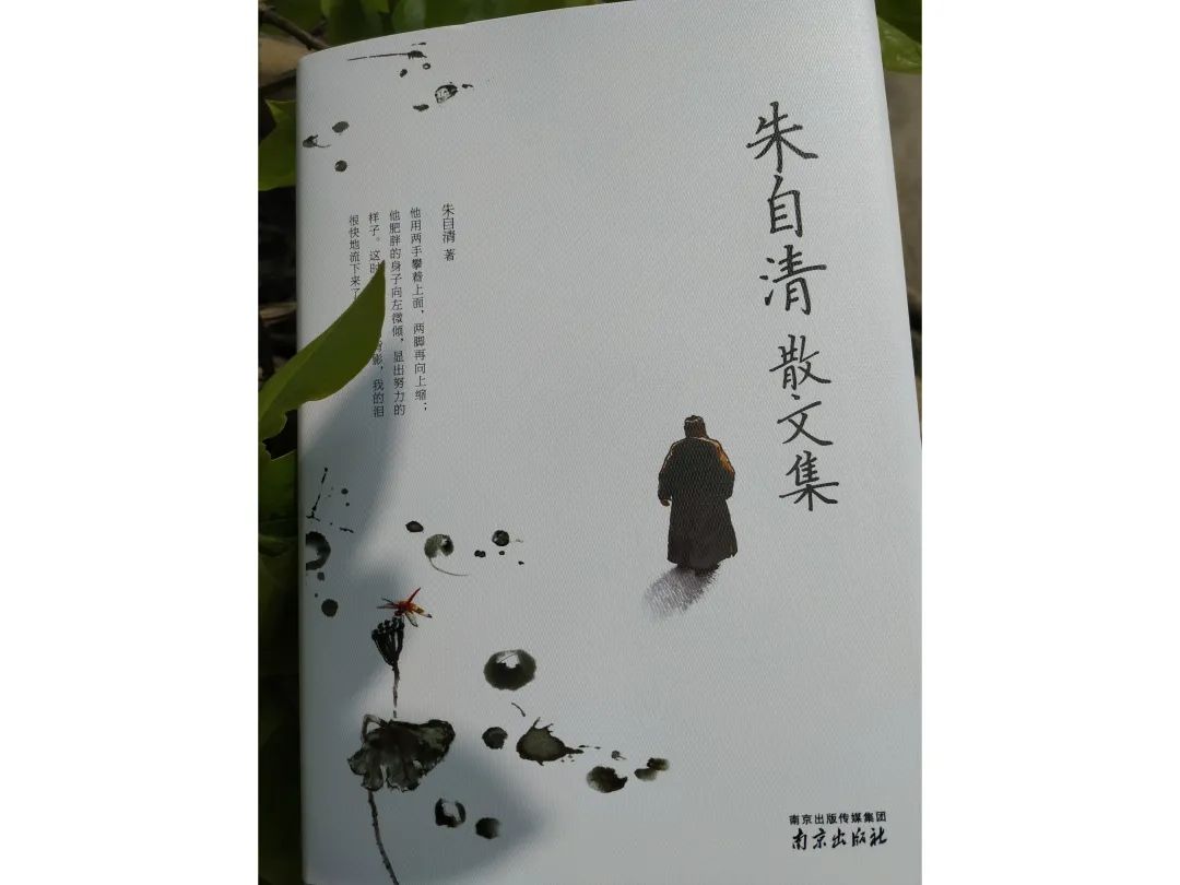 五本好看的经典文学作品(5本经典文学书籍)-第5张图片 五本好看的经典文学作品(5本经典文学书籍)-第5张图片
