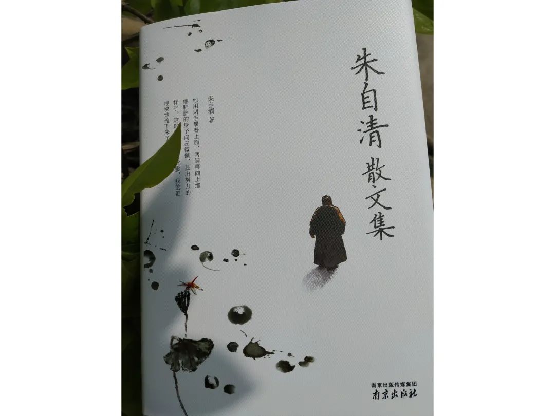 五本好看的经典文学作品（5本经典文学书籍）-第5张图片