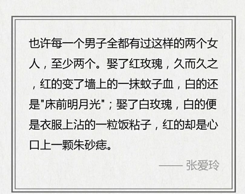 五本好看的经典文学作品(5本经典文学书籍)-第9张图片 五本好看的经典文学作品(5本经典文学书籍)-第9张图片
