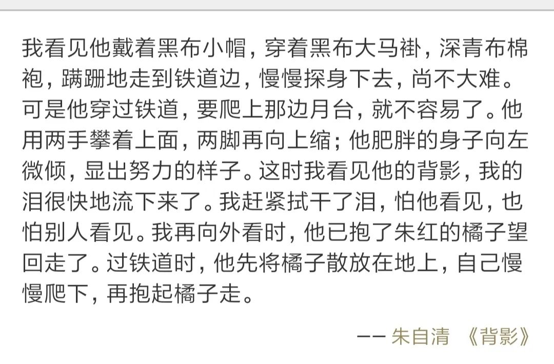 五本好看的经典文学作品(5本经典文学书籍)-第6张图片 五本好看的经典文学作品(5本经典文学书籍)-第6张图片