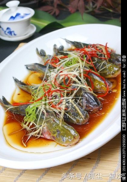 嘎鱼的家常做法(美味嘎鱼做法6例推荐!)-第1张图片 嘎鱼的家常做法(美味嘎鱼做法6例推荐!)-第1张图片