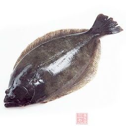 鲽鱼的营养价值及功效禁忌！（碟鱼的营养价值及清蒸碟鱼的家常做法）-第2张图片