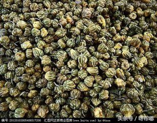 胎菊的食用禁忌和胎菊的功效1(胎菊的作用与功效!)-第3张图片