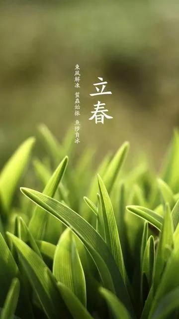 躲春可以玩手机吗?(什么是“躲春”如何“躲春”)-第1张图片 躲春可以玩手机吗?(什么是“躲春”如何“躲春”)-第1张图片