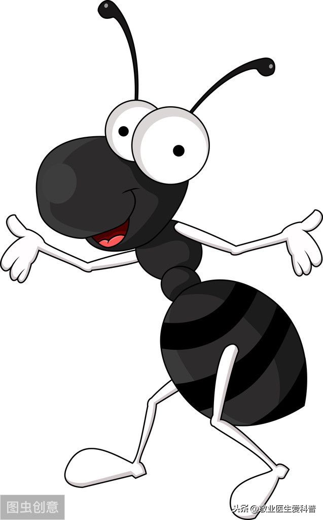 黑蚂蚁的功效与作用（黑蚂蚁泡酒好在哪？）-第1张图片