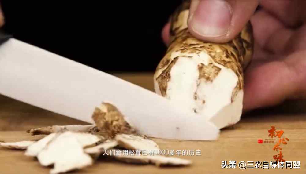 松茸怎么吃（松茸的菜谱）-第3张图片
