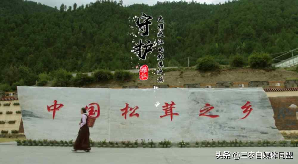 松茸怎么吃（松茸的菜谱）-第7张图片