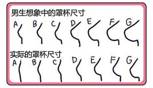 罩杯abcd怎么分大小（女性ABCD那个罩杯更小）-第2张图片