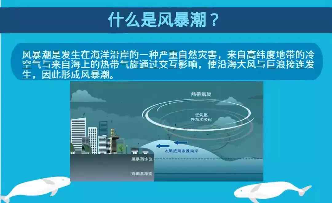 海啸的逃生方法有哪些  ？（海啸中如何逃生？）-第5张图片