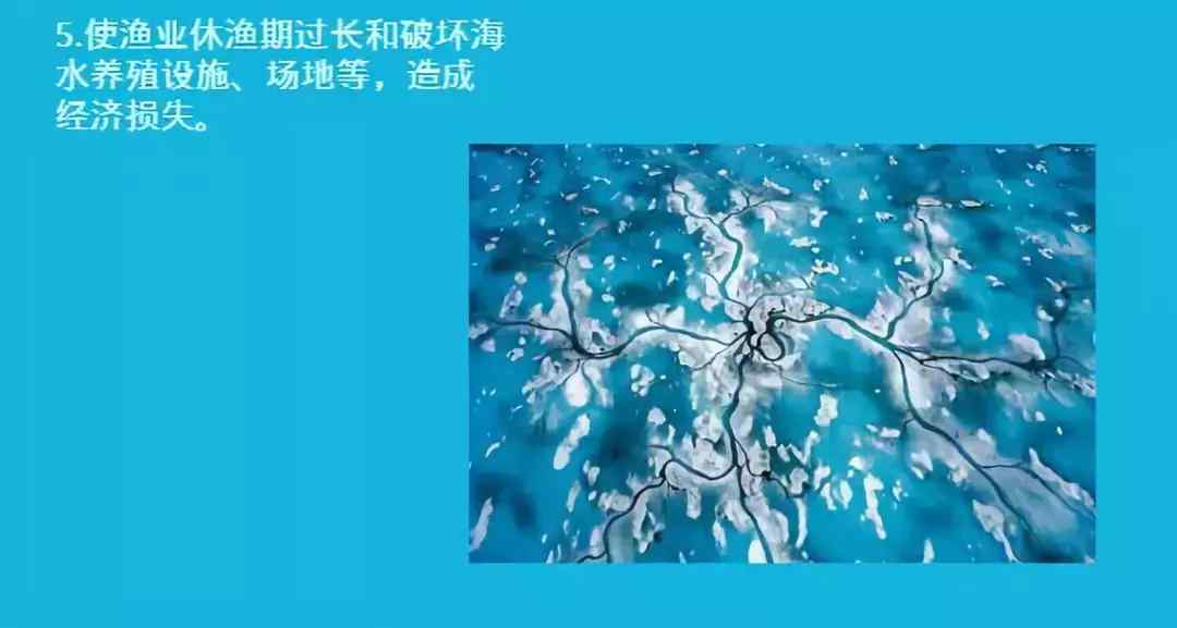 海啸的逃生方法有哪些  ？（海啸中如何逃生？）-第10张图片