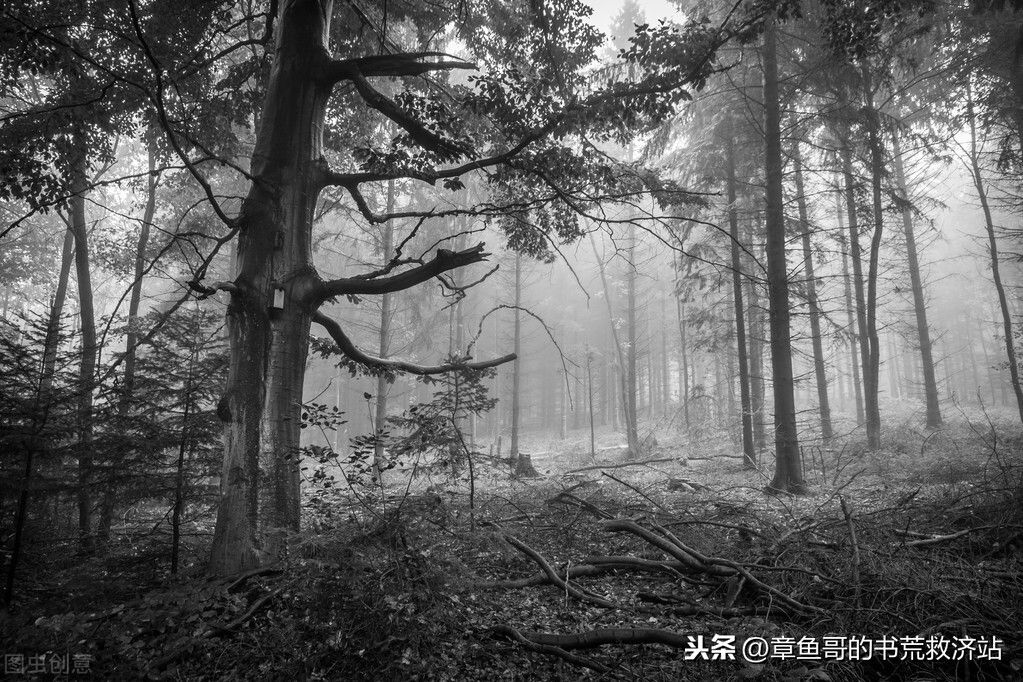 恐怖小说推荐！（五本熬夜必备的恐怖灵异小说）-第3张图片