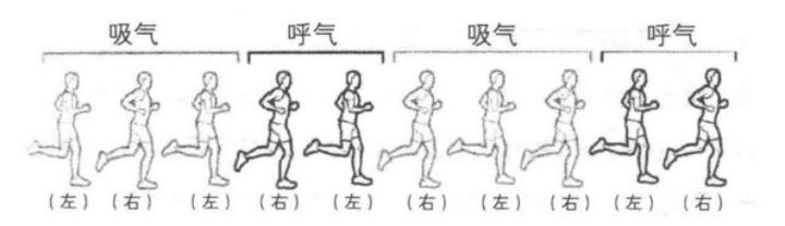 长跑呼吸（跑步时如何控制呼吸节奏？）-第13张图片