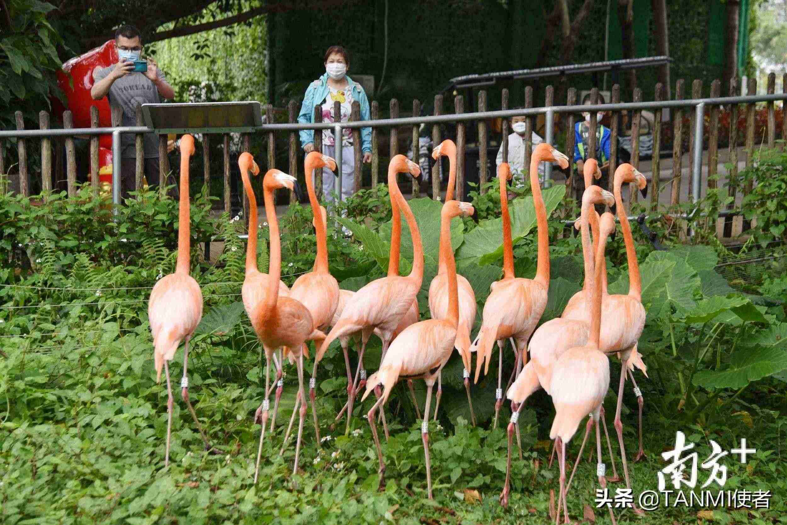 深圳旅游景点（深圳让人魂牵梦萦的10个景点）-第7张图片