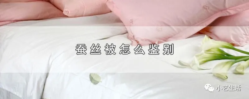 蚕丝被鉴别（蚕丝被怎么鉴别）-第1张图片