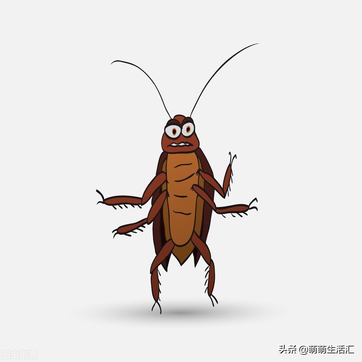 家里有蟑螂怎么办能除根（家里有好多蟑螂怎么办）-第2张图片