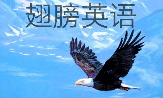 一般过去时的用法(一般过去时用法小结)-第2张图片 一般过去时的用法(一般过去时用法小结)-第2张图片