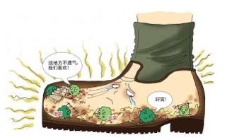 什么是香港脚（脚气为什么又叫香港脚？）-第3张图片